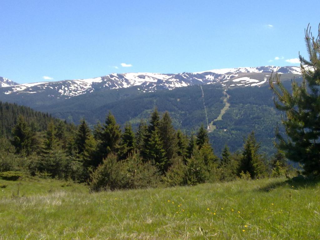 Mountain Dreams Apartment Сапарева Баня Екстер'єр фото